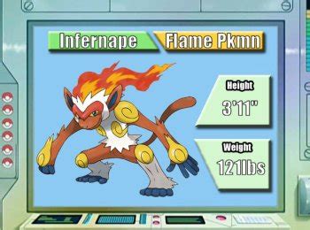 best nature for infernape